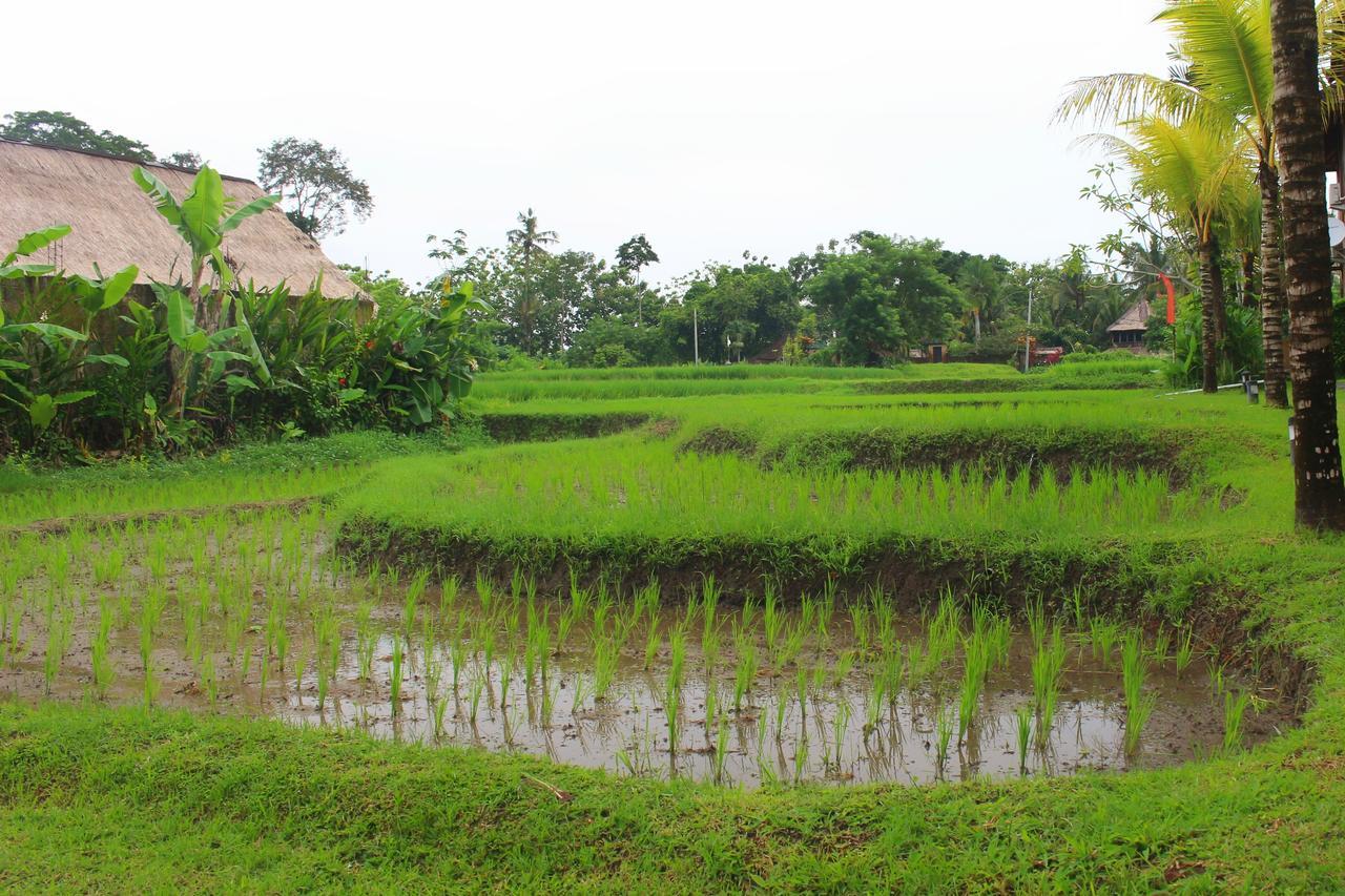 Hotel Saren Indah - Chse Certified 3*