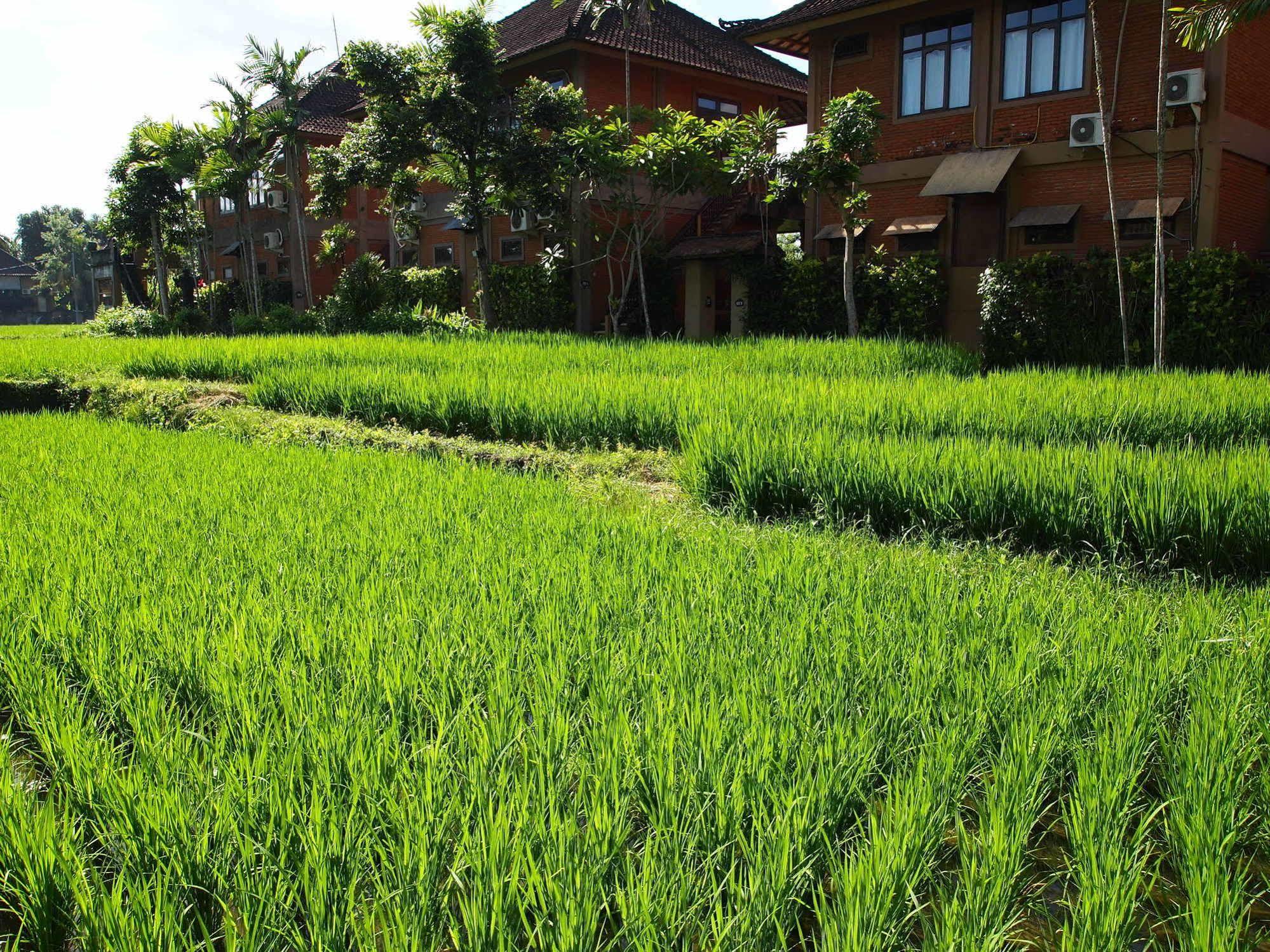 Saren Indah - Chse Certified Hotel Ubud